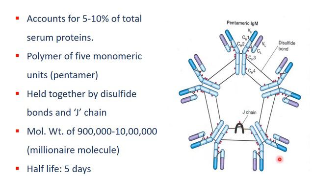 Structure and Function of Immunoglobulin | www.molmeds.org смотреть онлайн