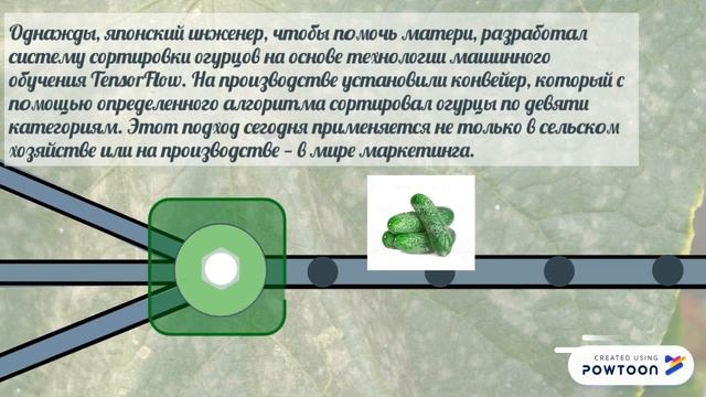 О машинном обучении от Б. Максима смотреть онлайн