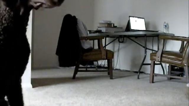 Indoor Ball with Lichen смотреть онлайн