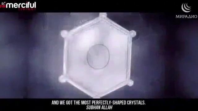 Благословенная вода ЗамЗам. Японский ученный Masaru Emoto открыл секреты воды ЗамЗам. ZamZam Water