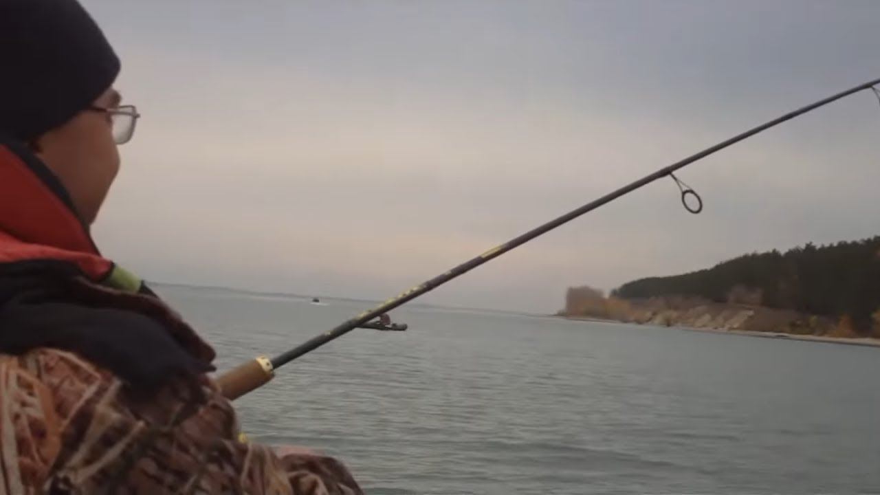 Поймал крупного сазана на спиннинг. Река Обь. Рыбалка в Спирино. смотреть онлайн