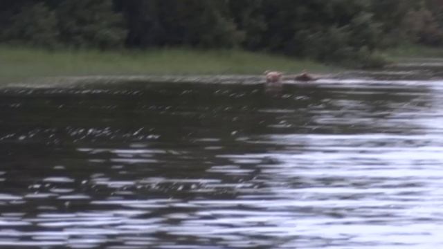 Кулинарные Фестивали и Конкурсы