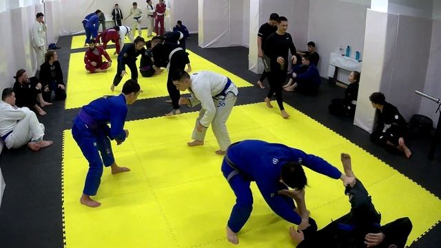 ORDA JJ Тренировка 17.01.24 (вечер)