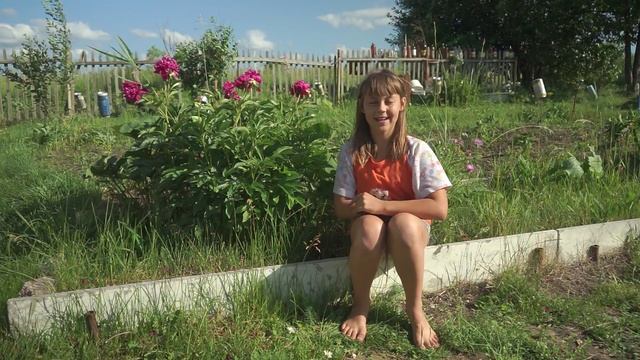 Моя дача (репортаж Елены Котовой) смотреть онлайн