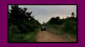 НАСТОЯЩИЙ СИРЕНОГОЛОВЫЙ НАПАЛ НА ЧЕЛОВЕКА