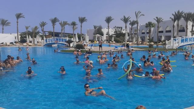 Пенная вечеринка  Hilton Nubian Resort 5 Египет