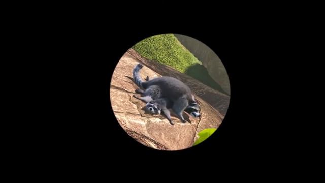 MIGHTY MIKE 🐶 30 minutes compilation 9 ⭐ смотреть онлайн