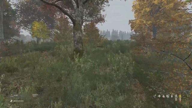 Dayz Standalone - Hora da Treta ( Kills da Semana #35 ) смотреть онлайн