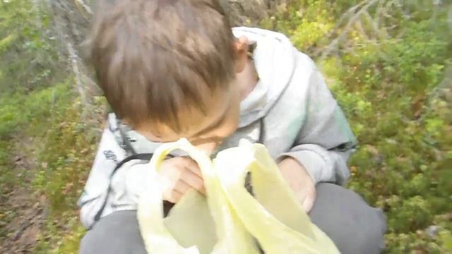 Сходили за грибочками 30.06.2023 #россия #ухта #коми #республикакоми #лес #грибочки #грибы2023 #дач