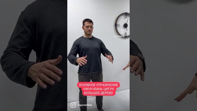 Главное упражнение цигун большое дерево смотреть онлайн