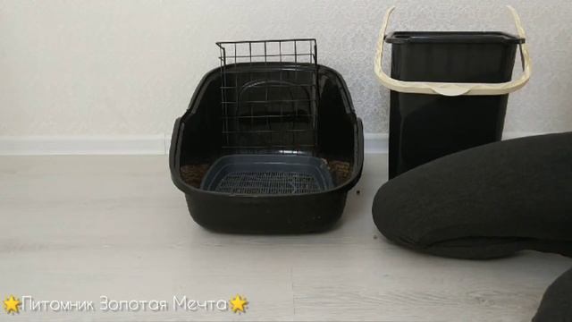 Туалет, лоток для кролика: смотреть онлайн