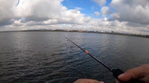 ОБЗОР спиннинга NARVAL ARGUMENT 80L! Тест на хищнике!