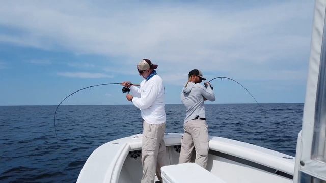 Spring Albie Fishing MADNESS + Light Tackle ( False Albacore , Bonito , Little Tunny ) смотреть онлайн