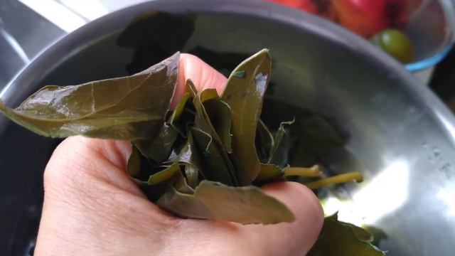 Making Liquid Soap with English Ivy - LoveMade Tips смотреть онлайн