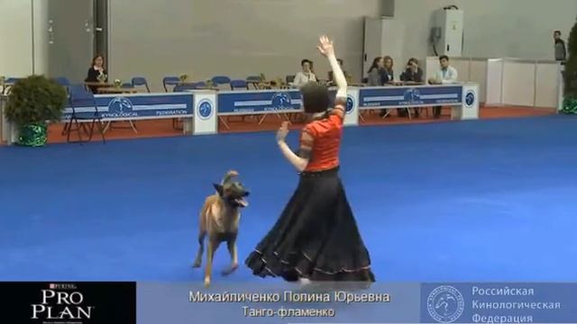 Евразия 2013 Михайличенко Полина "Танго-фламенко" смотреть онлайн