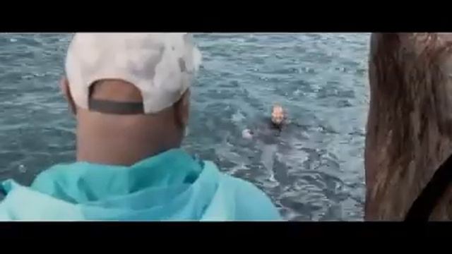 Megalodon Jump Out Of Water Scene - The Meg (2018) Movie Clips HD