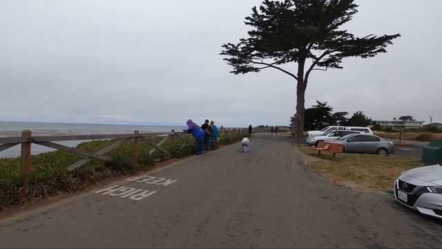 Променад без Томми - обсуждаем взрослые темы и движемся в быстром темпе смотреть онлайн