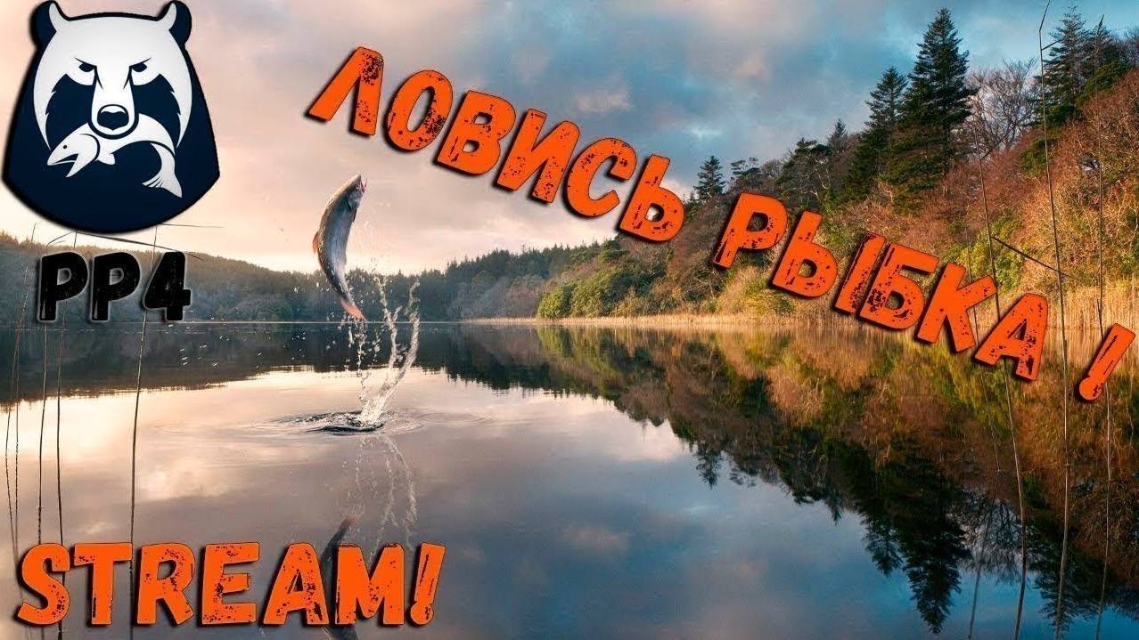 Russian Fishing 4 /Русская рыбалка 4 по рыбным местам с нуля смотреть онлайн