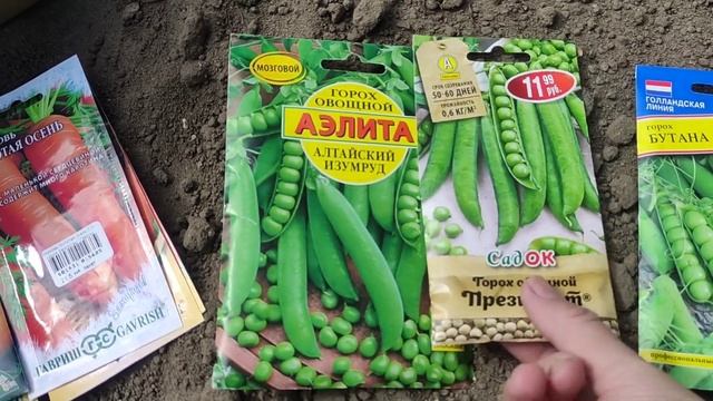 Высадили огурцы в неотапливаемую теплицу.Как выглядят томаты в неотапливаемой теплице на 22 апреля смотреть онлайн