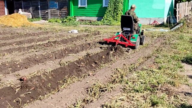 уборка картошки 2021. Минитрактор из металлолома в деле! смотреть онлайн