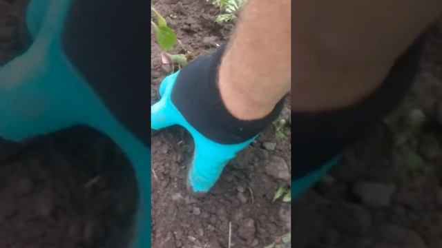 Садовые перчатки с когтями! смотреть онлайн