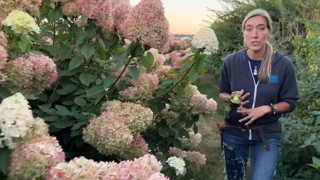 Floret Farm Tour: Fall Cutting Garden