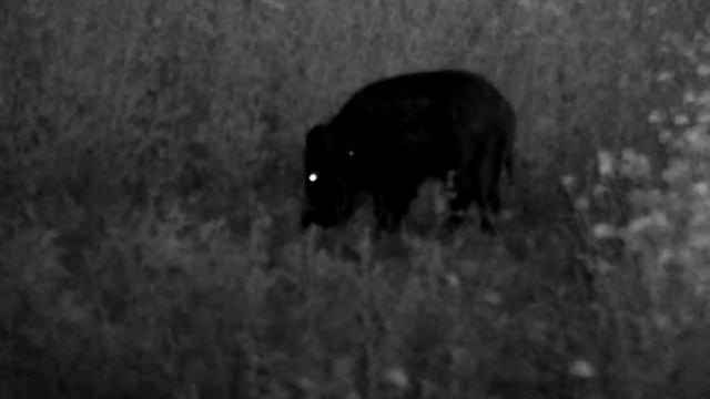 Pusar DIGEX N455 смотреть онлайн