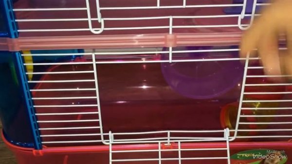 ОБЗОР НА НОВУЮ КЛЕТКУ ХОМЯКА! ОЧЕНЬ КРУТАЯ// HAPPY PETS