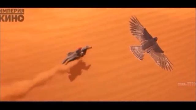 ОРЁЛ УМИРАЕТ НА НОГАХ..!   __IORO   CAUCAS__