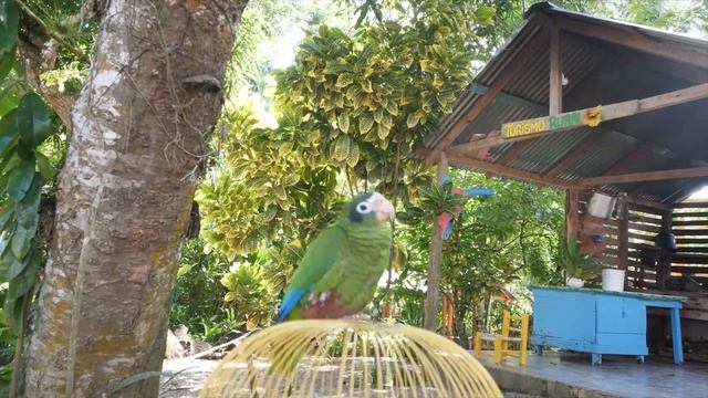 First Impressions of DOMINICAN REPUBLIC ??? II VACATION 2022 смотреть онлайн