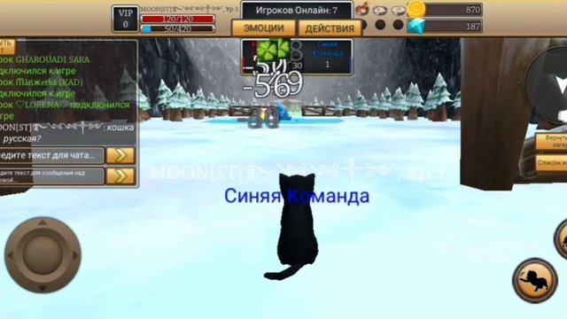 Советы и лайфхаки для игроков с 1-10 ур в Cat simulator animal life) смотреть онлайн