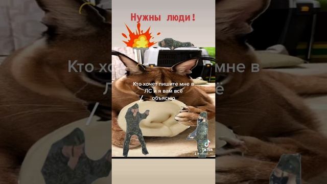 Нужны люди для снятия фильма смотреть онлайн