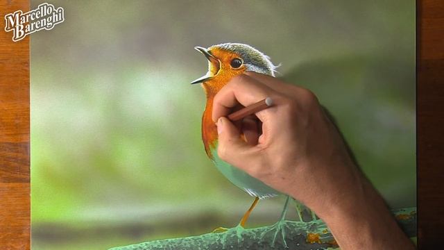 Robin Bird Drawing ? смотреть онлайн