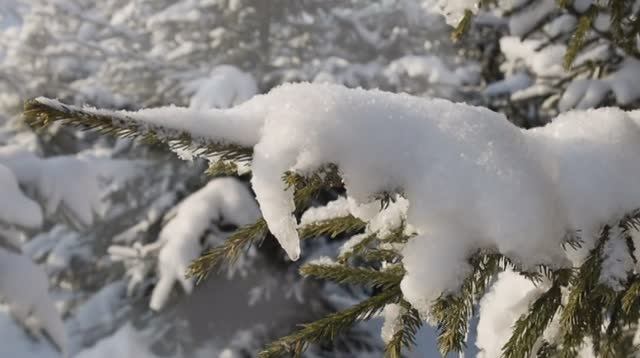 Зимние зарисовки.mpg смотреть онлайн