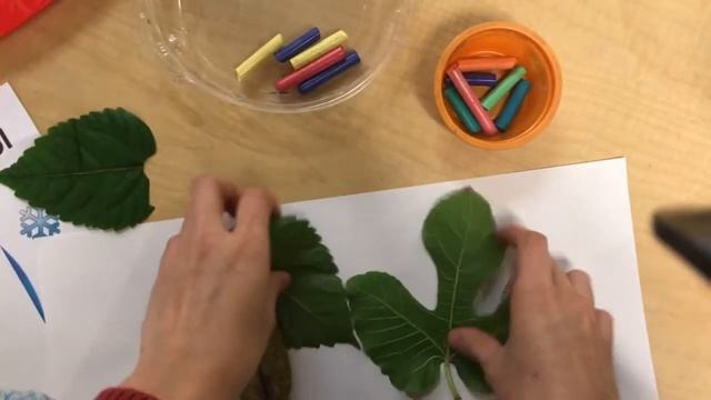 Crayon Leaf Rubbing смотреть онлайн