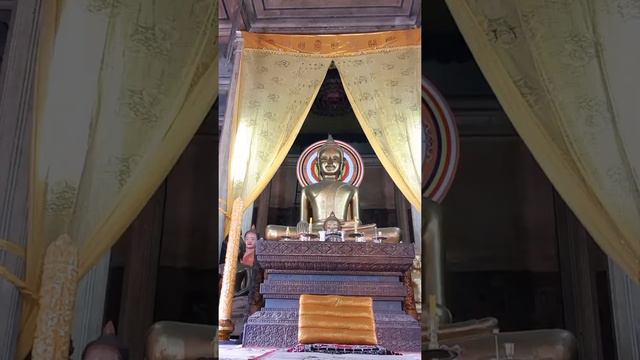 MANTRA OM et Tara jaune pour le monde stage Cambodge. смотреть онлайн
