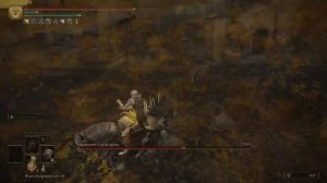 Драконий страж древа. Как победить.