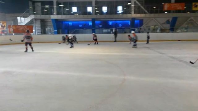 Сибирский Тигр vs Рекорд. Небольшая игра после тренировки (02.04.2016) смотреть онлайн