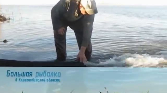 Темиртау,Самаркандское вдхр.,зарыбление,карп смотреть онлайн