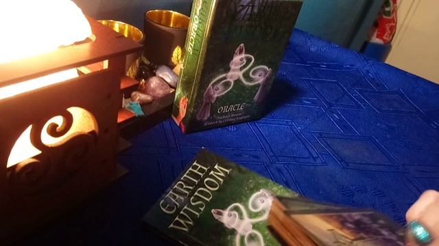 Earth wisdom oracle/Oráculo de la sabiduría de la tierra смотреть онлайн