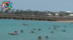 Египет Хургада- Отель Сентидо Мамлюк Палас 5*/ Egypt Hurghada-Sentido Mamlouk Palace Resort 5*/HD