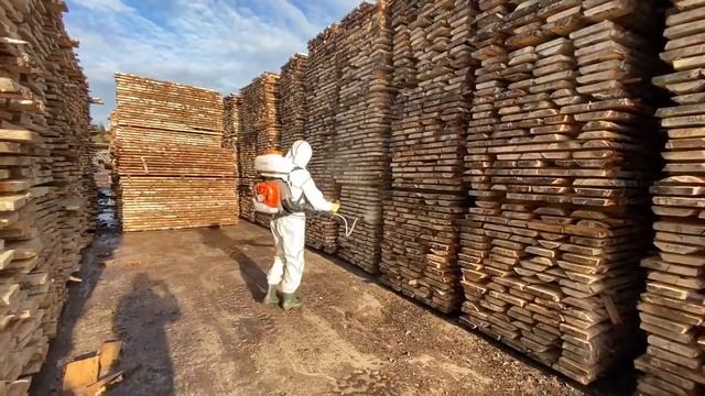 Фумигация пиломатериалов смотреть онлайн