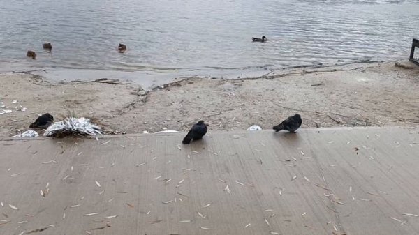 25 января. Татьянин день. День Студента. Народные традиции и приметы.