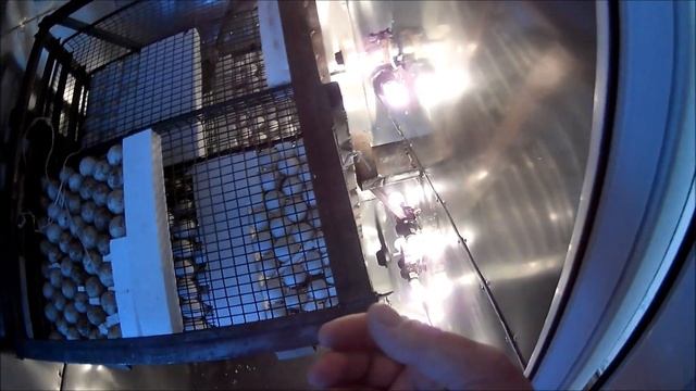 Промышленный нкубатор своими руками на 4000 яиц смотреть онлайн