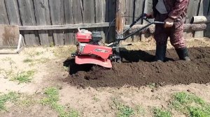 первая фрезеровка мотоблоком в этом году