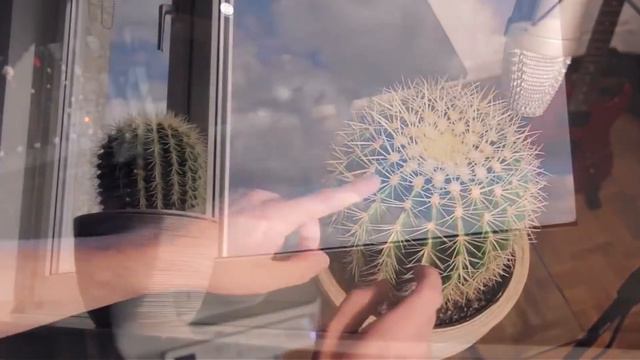 Музыкальный кактус... ( Musical Cactus)