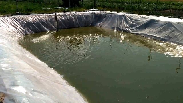 УКЛАДКА ПЛЕНКИ ДЛЯ ПРУДА! С ВОДОЙ И РЫБОЙ!!! смотреть онлайн
