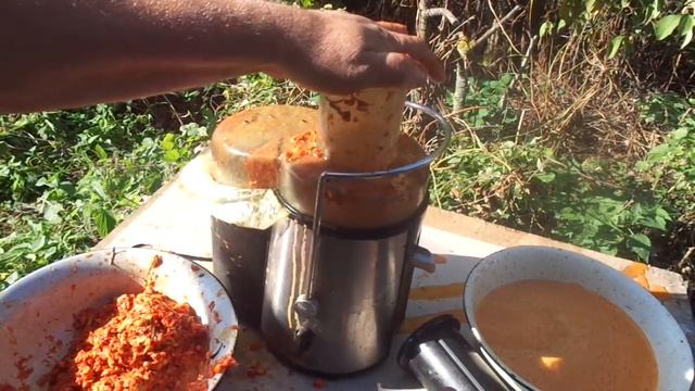 Как с Облепихи выжить сок быстро и просто. смотреть онлайн