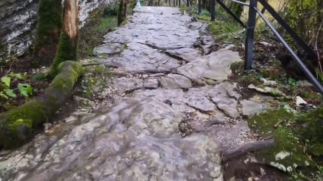 Обвалившаяся дорога и прогулка по Тисо-самшитовой роще в ноябре! смотреть онлайн