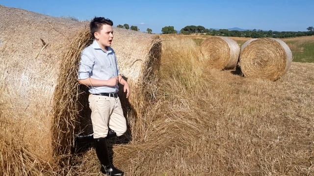 Русское поле смотреть онлайн